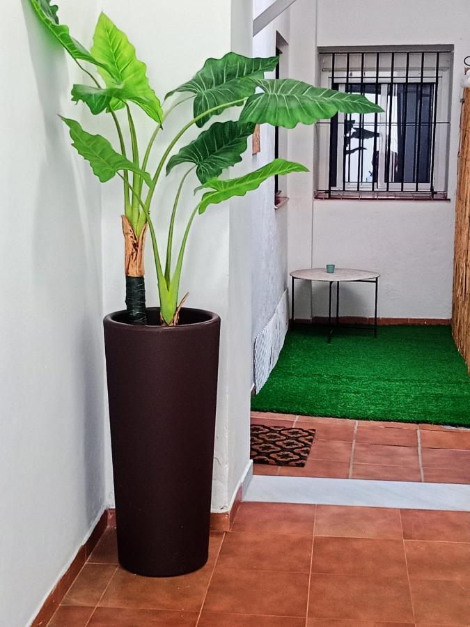 Casa Fluri Apartment